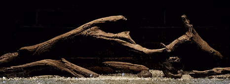 Firenze Right-Corner - view 14