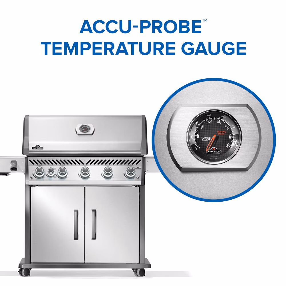 Rogue® PRO 625 SIB Stainless Steel - view 9